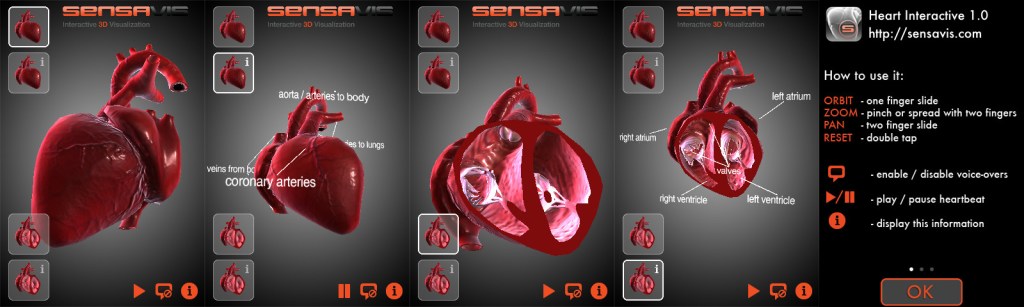 Heart Interactive © Sensavis Visualization 2011
