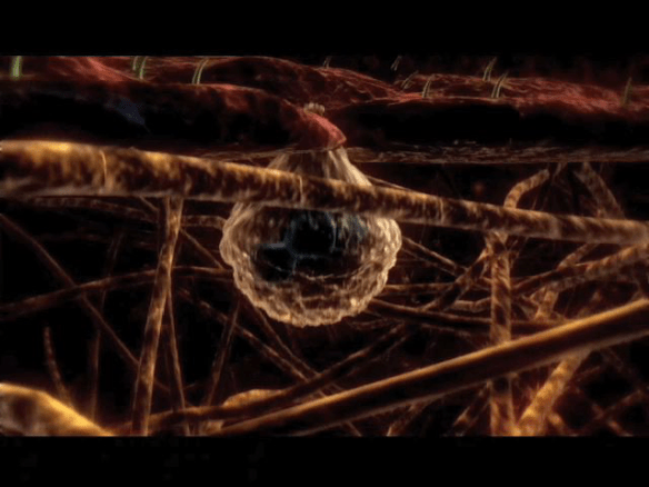 White blood-cell © Sensavis 2002