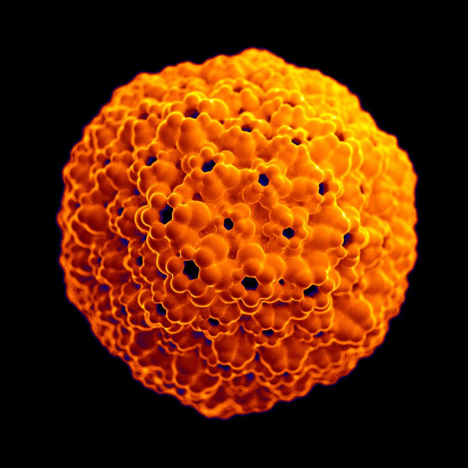 Viral-single-C0001_colorRemapA