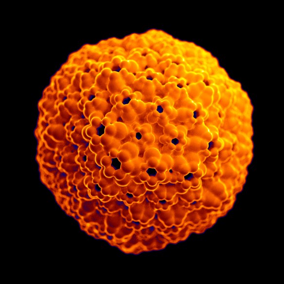 Viral-single-C0001_colorRemapA